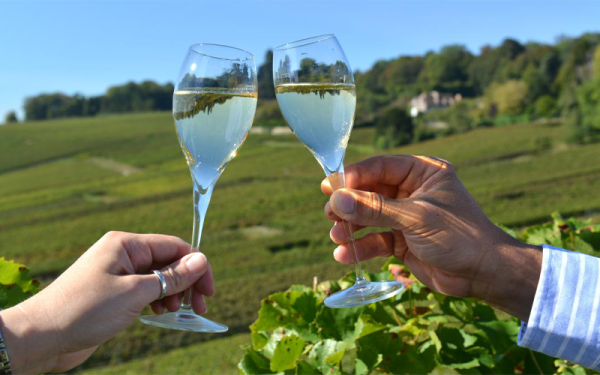 Wine Tasting Tour in the Champagne Region, 01 day